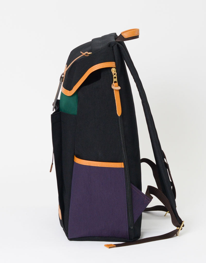 Link Backpack No. 02351-v2